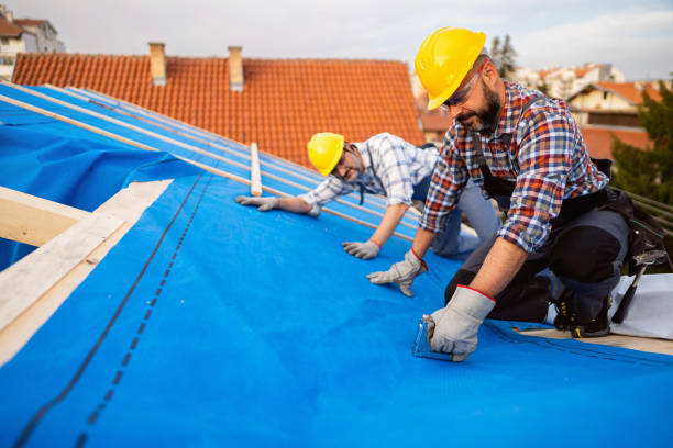 Best Storm Damage Roof Repair  in Bogalusa, LA